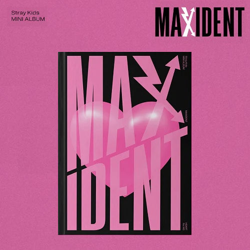 流浪儿童<maxident></maxident>