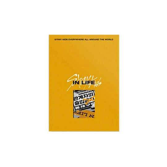 流浪儿童<in life></in>