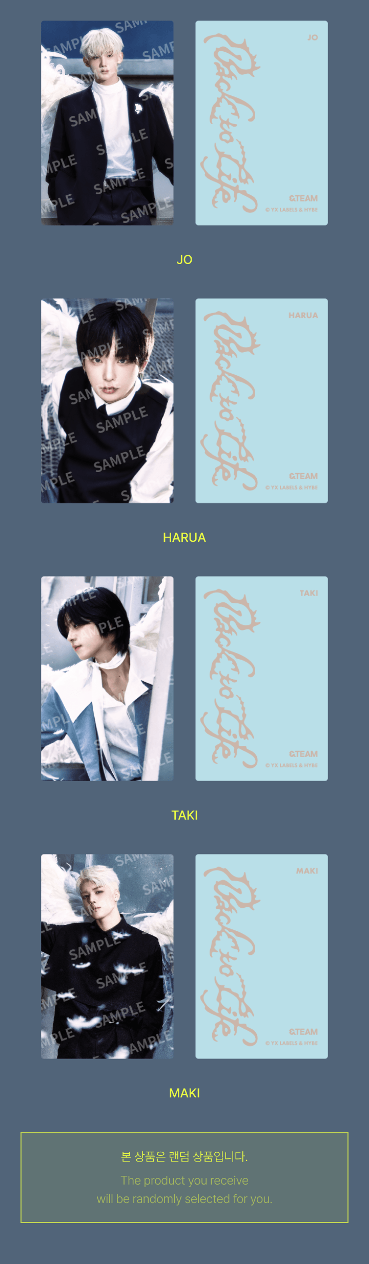 &TEAM <BACK TO LIFE> OFFICIAL MD TRADING CARD B