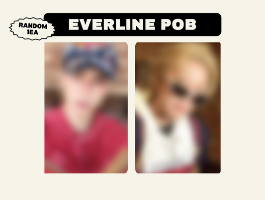 SEVENTEEN V8 <V8> EVERLINE POB (RANDOM 1EA)
