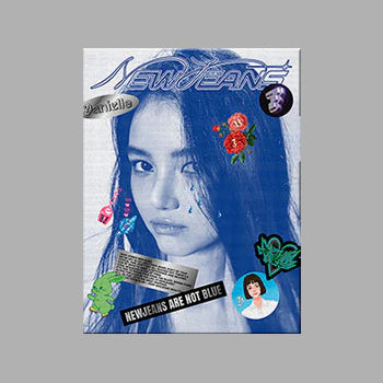 新牛仔裤<new jeans>蓝皮书</new>