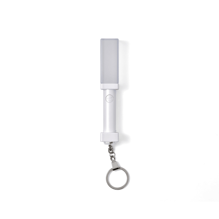 TWS <OFFICIAL LIGHT STICK KEYRING>