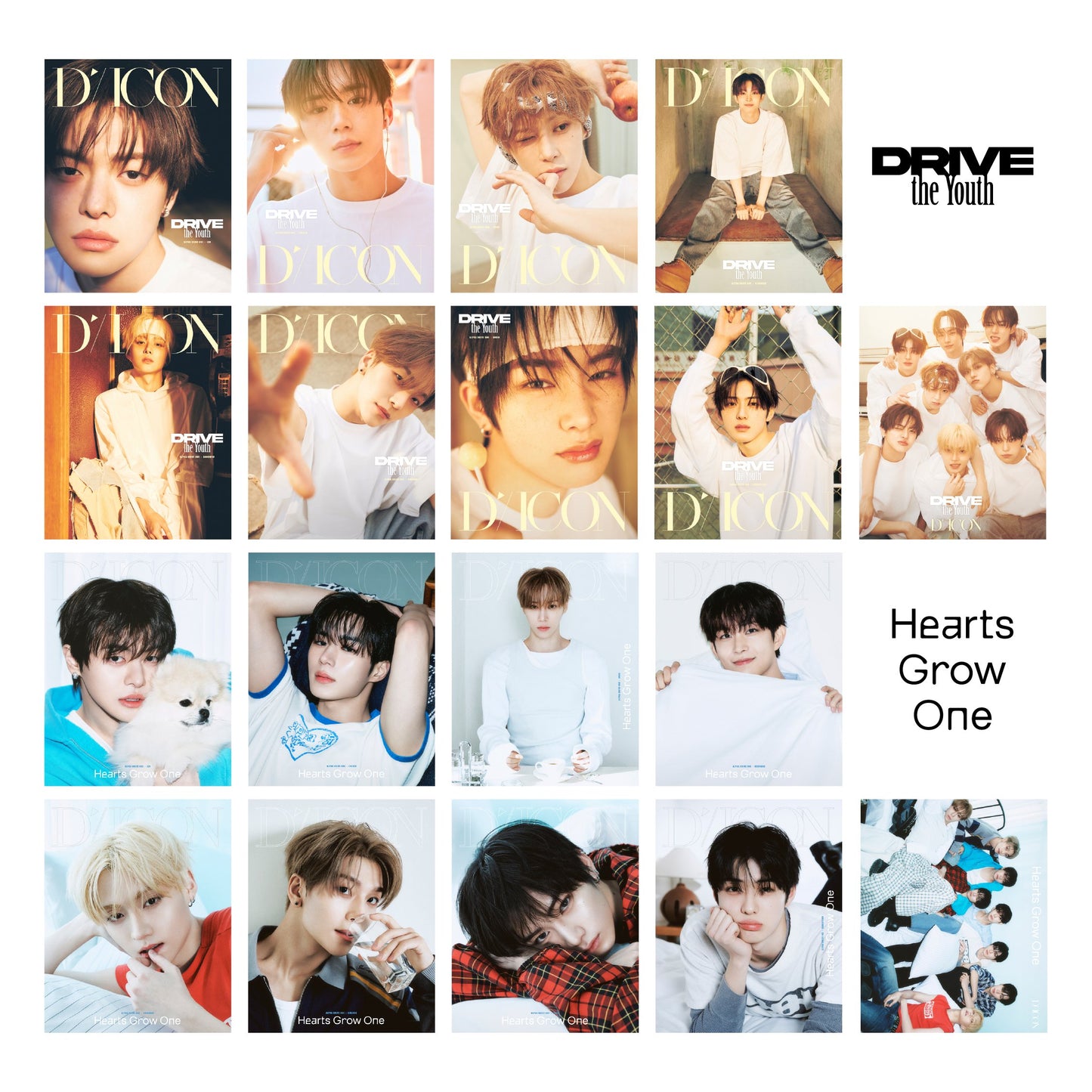 [PREORDER 3/4 CLOSED] ALPHA DRIVE ONE <DICON VOLUME N°33>