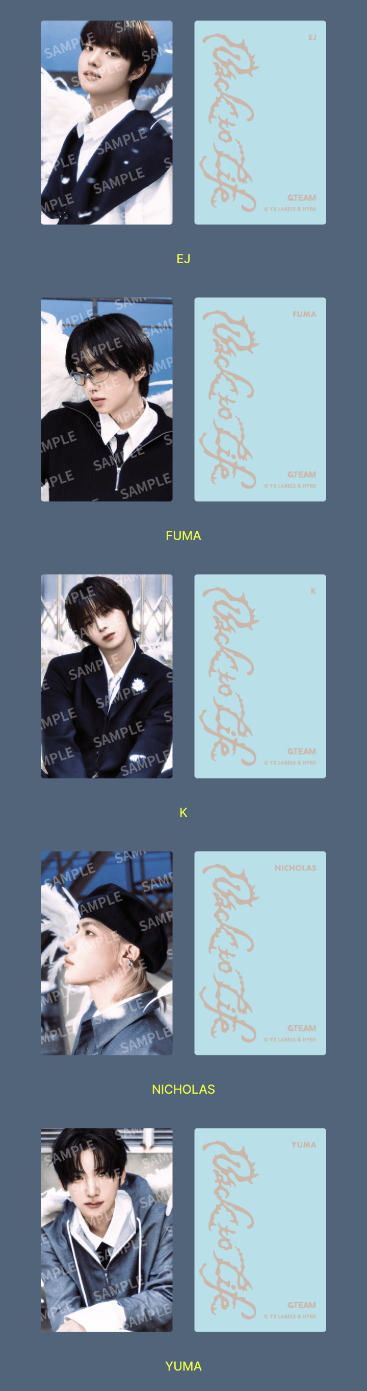 &TEAM <BACK TO LIFE> OFFICIAL MD TRADING CARD B
