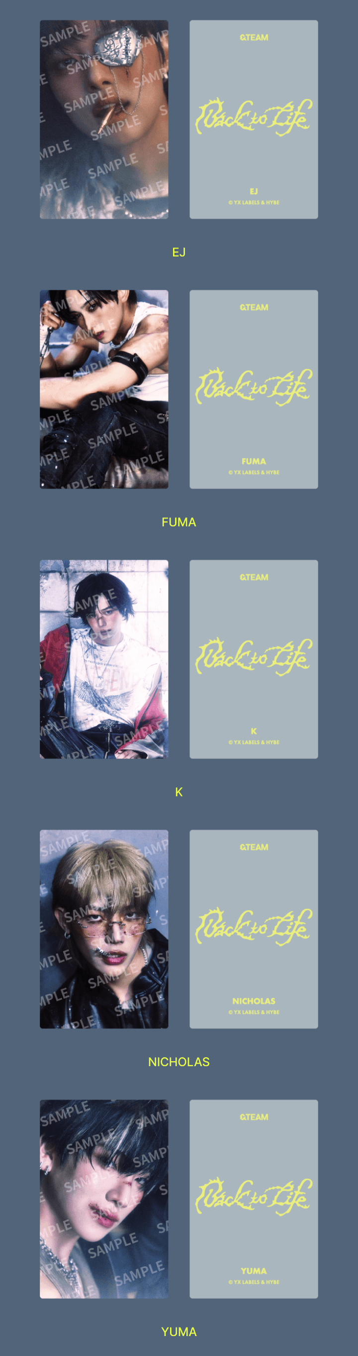 &TEAM <BACK TO LIFE> OFFICIAL MD TRADING CARD A