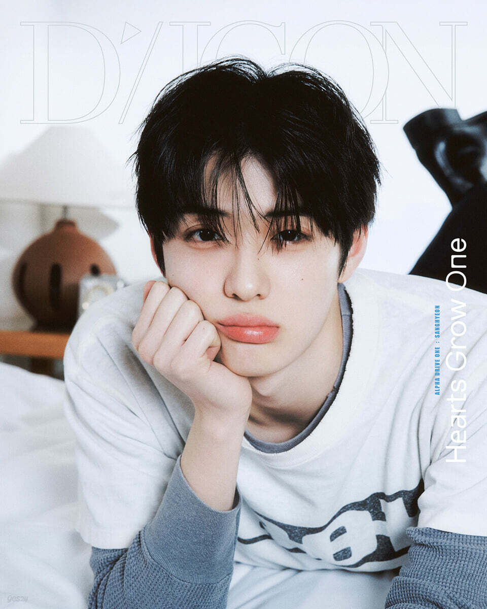 [PREORDER 3/4 CLOSED] ALPHA DRIVE ONE <DICON VOLUME N°33>