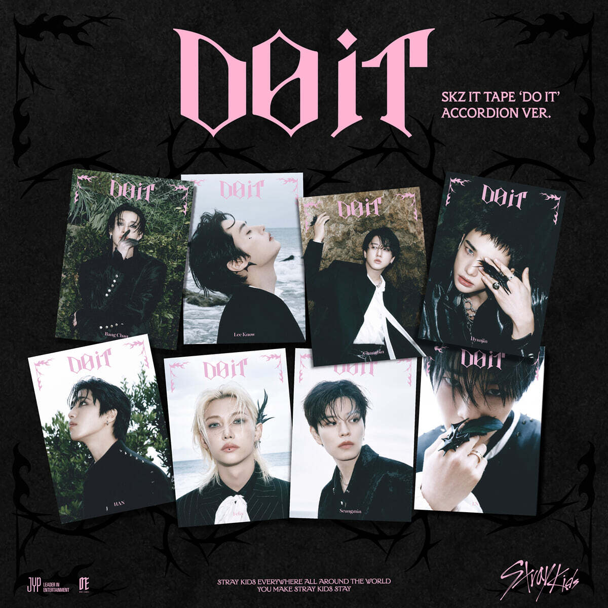【预购】Stray Kids SKZ IT 磁带<do it>手风琴版</do>