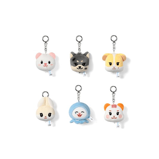 [PREORDER 27/9 CLOSED] TWS [TWIMI : 42 Forest] FACE PLUSH KEYRING