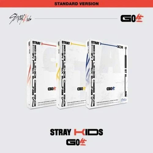 STRAY KIDS <GO LIVE>