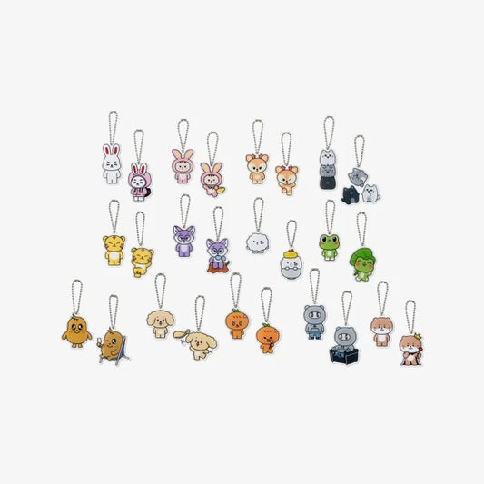 SEVENTEEN <MINITEEN> ACRYLIC KEYRING